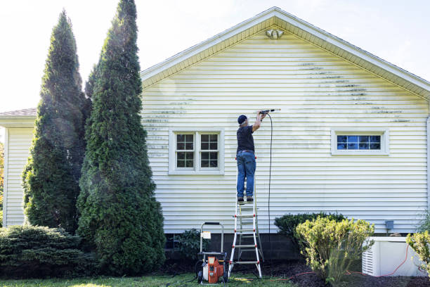 Best Solar Panel Cleaning  in Wellington, KS